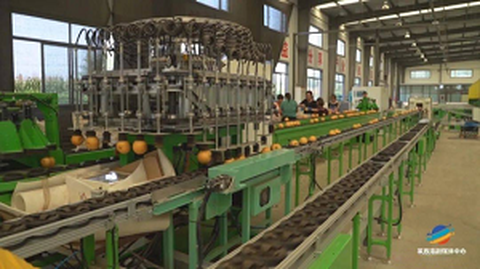 Fórum do Serviço de Origem de Padronização da Primeira Fruta