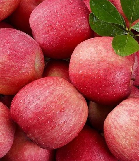 Todos os tipos de maçãs