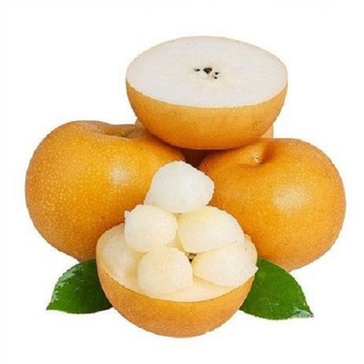 Pêra Asiática Qiuyue